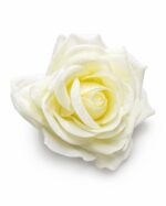 tolo single rose