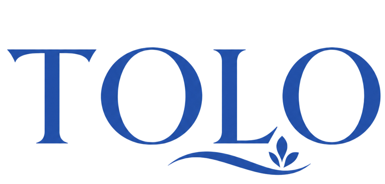 tolowhole logo