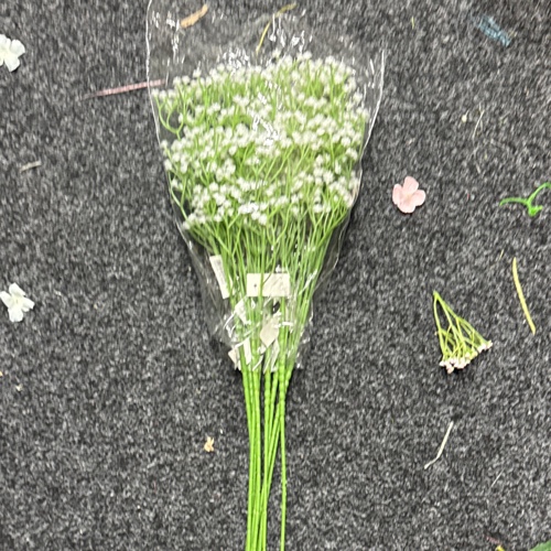 6dadde43 9ce5 454c 8c7e 550ab0e59c90.jpg