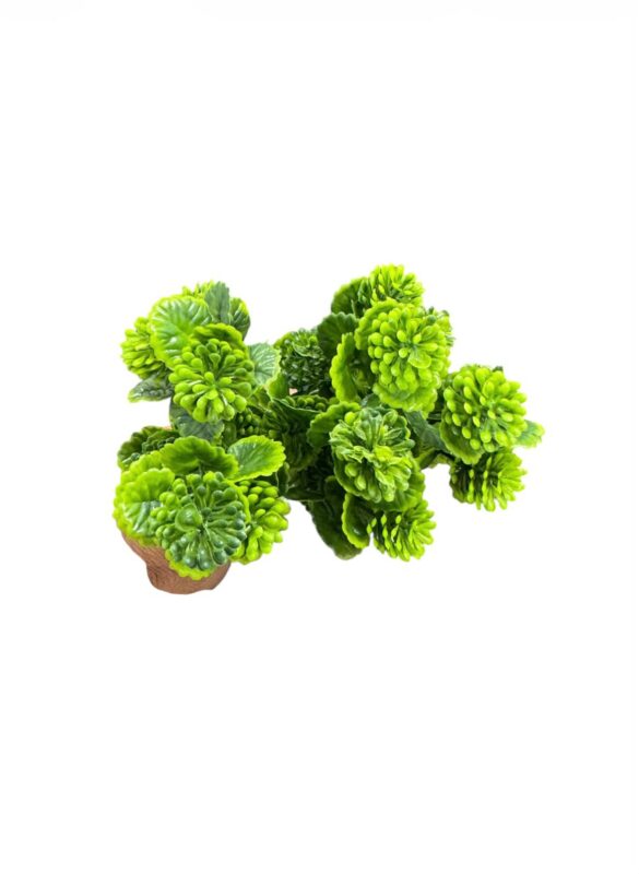 artificial green pom pom succulent plant td 3008