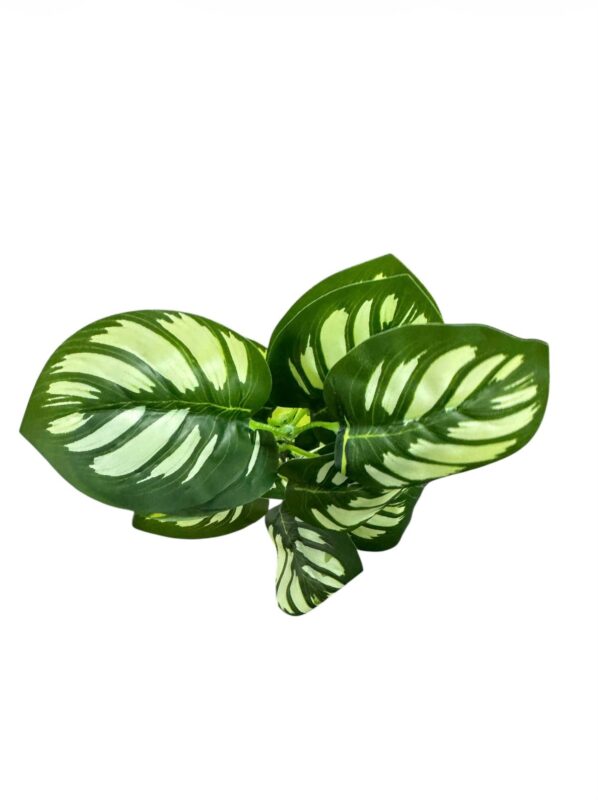 artificial variegated calathea leaf bush td 3386